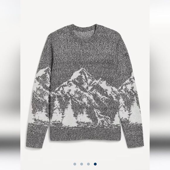 NWT Old Navy So-Soft Crew-Neck Sweater Gray mountain L - Picture 1 of 6